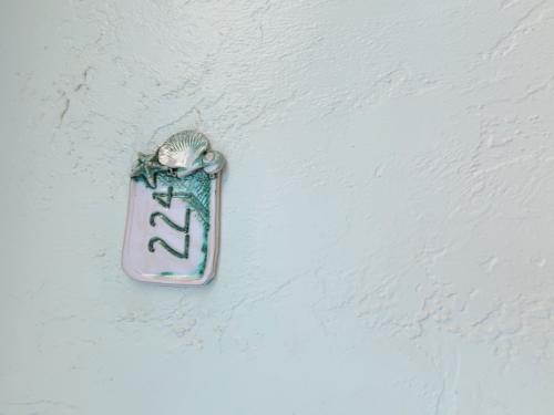 316big_resize__number__224