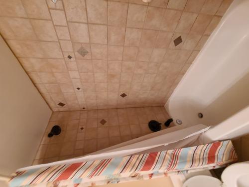 big_resize_bath_1_-_2_224